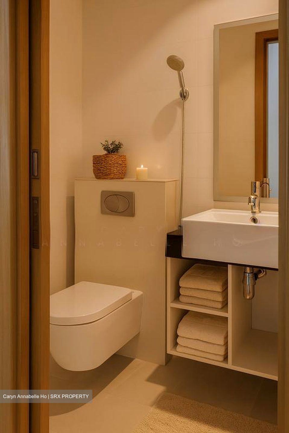 Orchard Road (D9), Condominium #510628621